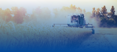 Unsere Agrarchemikalien finden Sie auch im offiziellen BÜFA Online-Shop.